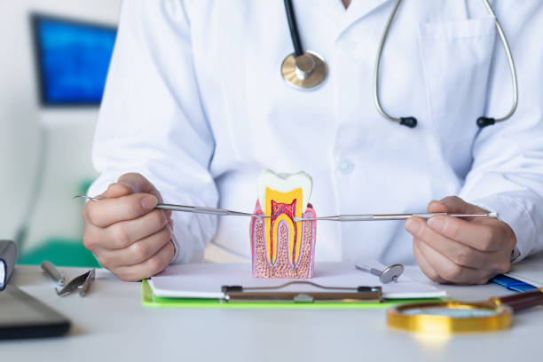 Best Emergency Root Canal Treatment in Auburn, MI